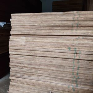 WhatsApp Image 2025-12-30 at 10.49.49 AM